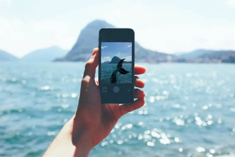 Mermaids on Instgram on a phone that is held in front of the ocean