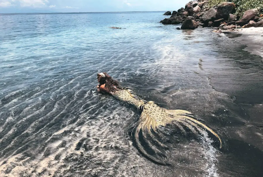 a real mermaid with tail on a beach