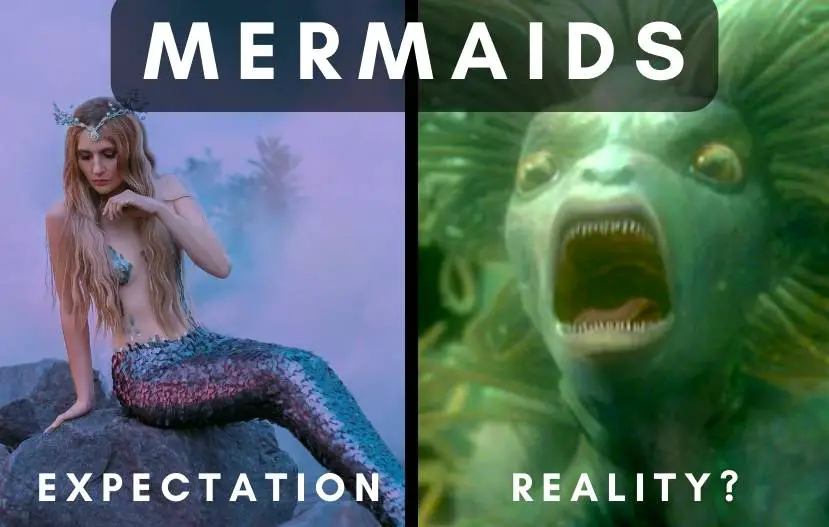 are mermaids ugly or beautiful