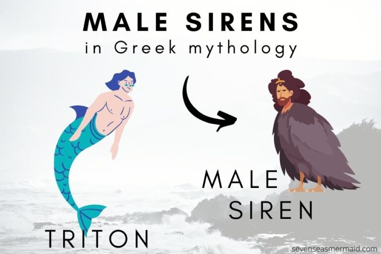 male siren as merman and bird